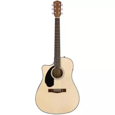 左撇子的吉他：如何左吉他播放，他們與普通不同的是什麼？電吉他和經典。如何保持左側吉他？ 26261_8