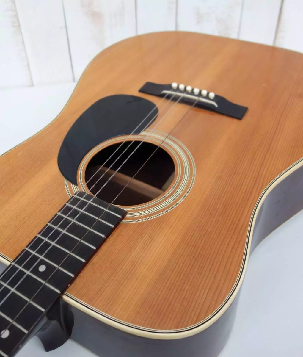 Western Guitar：それは何ですか、そして古典とはどういう意味ですか？西洋タイプギターのメロディー。それらを遊ぶには？ 26263_12