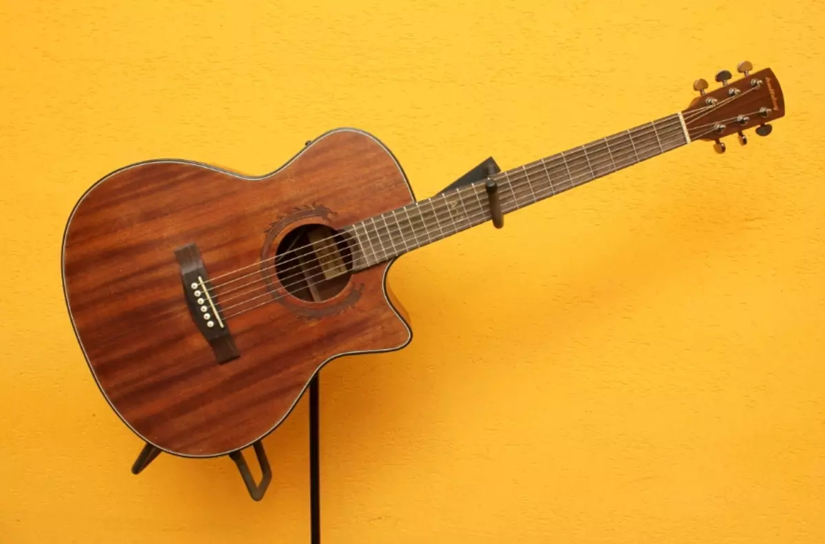 Western Guitar：それは何ですか、そして古典とはどういう意味ですか？西洋タイプギターのメロディー。それらを遊ぶには？ 26263_16