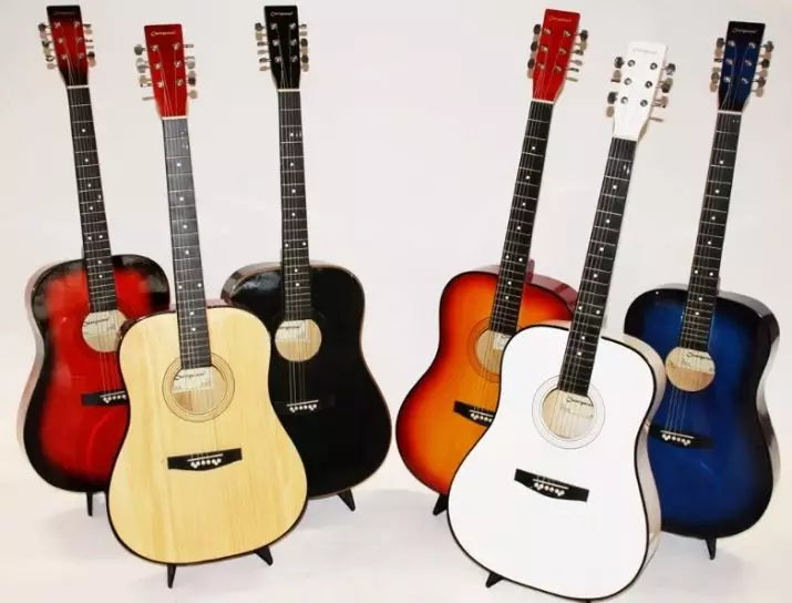 Gitar Barat: Apa itu dan apa yang berbeda dari klasik? Melodi pada gitar tipe barat. Bagaimana cara memainkannya? 26263_4