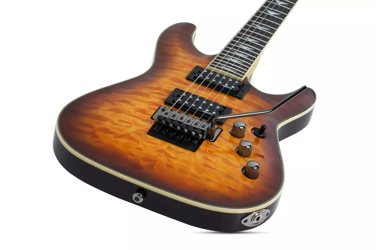 Jinis Guitera Listrik: bentuk hulls, jinis gitar modern lan varietas model sejarah kanthi jeneng. Tips Kanggo Milih Guitar Listrik 26272_3