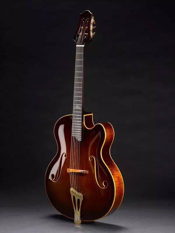 इलेक्ट्रिक गिटारचे प्रकार: हूल्सचे स्वरूप, आधुनिक गिटारचे प्रकार आणि त्यांच्या नावांसह ऐतिहासिक मॉडेलचे प्रकार. इलेक्ट्रिक गिटार निवडण्यासाठी टिपा 26272_5