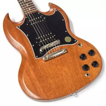 Types de guitare électrique: les formes de coques, les types de guitares modernes et variétés de modèles historiques avec leurs noms. Conseils pour choisir les guitares électriques 26272_9