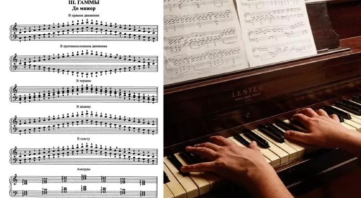 Gamma pro klavír: Jak hrát Arpeggio a to Major na klavír? La Minor a Mi, sůl a jiné gammy pro začátečníky, jejich aplikace 26273_4