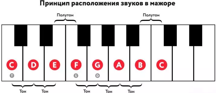 Gamma pro klavír: Jak hrát Arpeggio a to Major na klavír? La Minor a Mi, sůl a jiné gammy pro začátečníky, jejich aplikace 26273_5