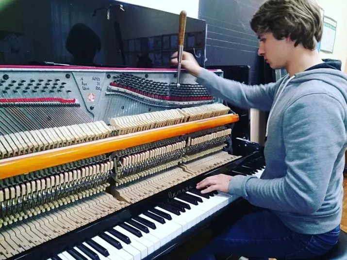 Riparo kaj restariga piano: Kiel ripari elektronikan kaj alian pianon per viaj propraj manoj? Kiel renovigi la poluranton de la malnova piano? 26275_19