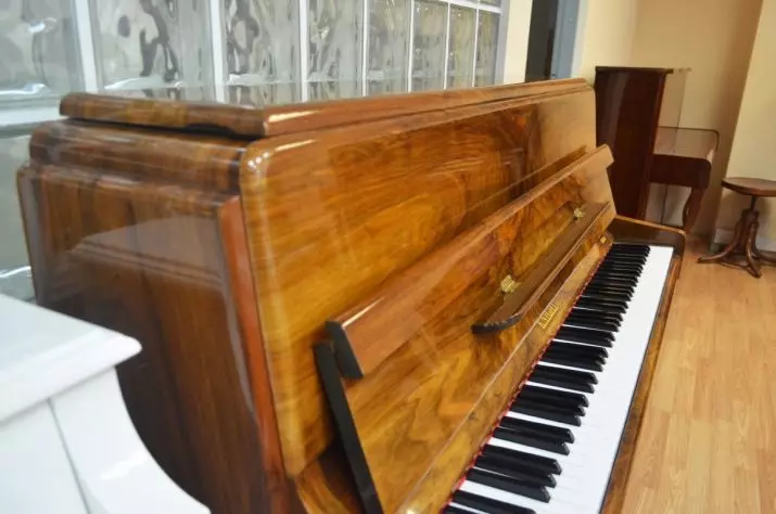 Sanacija i restauracija Piano: Kako popraviti elektronskih i drugih klavir sa svoje ruke? Kako renoviranje poliranje starog klavira? 26275_20