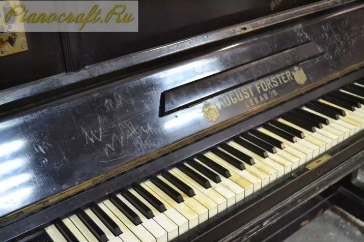 Pag-ayo ug Pagpahiuli Piano: Giunsa ang pag-ayo sa electronic ug uban pang piano sa imong kaugalingon nga mga kamot? Giunsa ang pag-ayo sa pag-polish sa daan nga piano? 26275_3