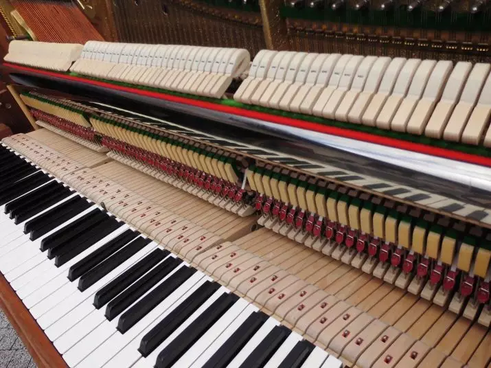 Popravak i restauracija Piano: Kako popraviti elektronski i drugi klavir s vlastitim rukama? Kako obnoviti poliranje starog klavira? 26275_4