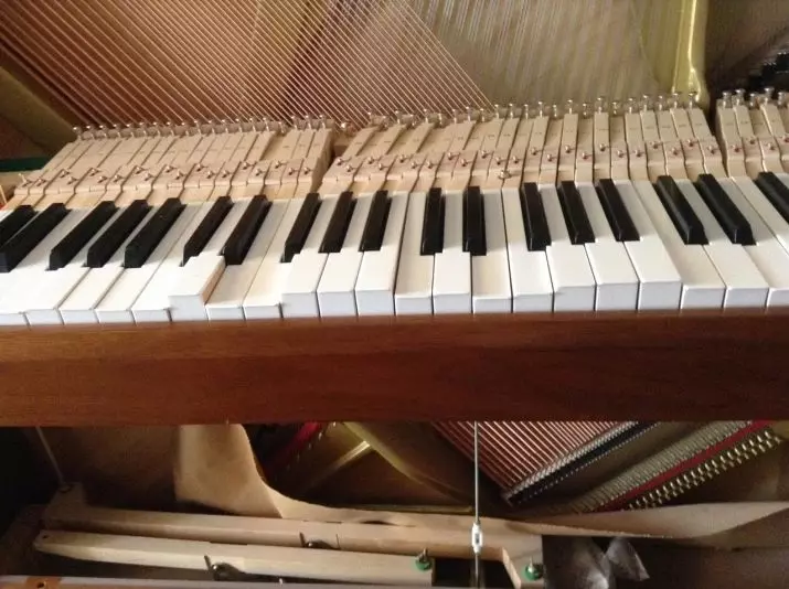 Reparearje en restauraasjepiano: Hoe kinne jo elektroanysk en oare piano realisearje mei jo eigen hannen? Hoe rendearje it polearjen fan 'e âlde piano? 26275_5