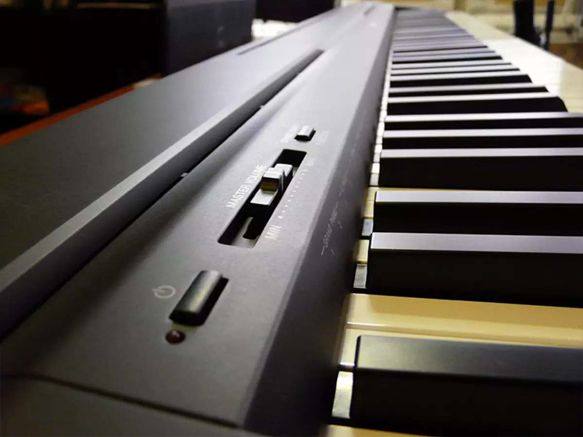 Popravak i restauracija Piano: Kako popraviti elektronski i drugi klavir s vlastitim rukama? Kako obnoviti poliranje starog klavira? 26275_6