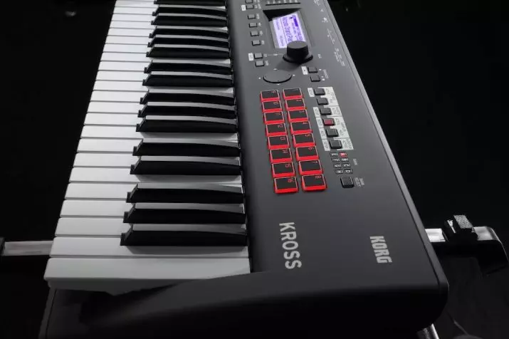 Piano Perbaikan dan Restorasi: Cara Memperbaiki Piano Elektronik dan Lainnya Dengan Tangan Anda Sendiri? Bagaimana cara merenovasi pemolesan piano lama? 26275_8