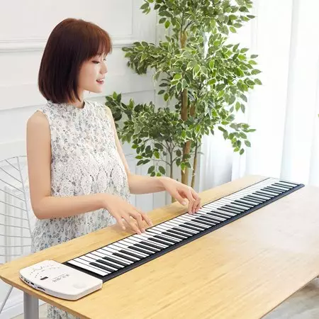 Flexibelt piano: Mjukt piano med 49, 61 och 88 nycklar, tangentbordsfunktioner, bästa modeller, kundrecensioner 26281_7