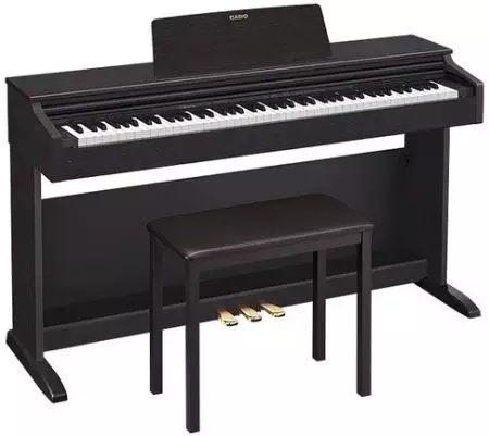 Casio Digital Piano: Elektroninen pianon yleiskatsaus, jalusta, kuulokkeet ja muut laitteet. Kuinka muodostaa yhteyden tietokoneeseen? 26285_11