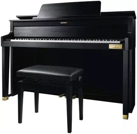 Casio Dhijitari Piano: Electroniki Piano Overview, mira, mahedhifoni, uye zvimwe zvishandiso. Maitiro Ekubatana nekombuta? 26285_12