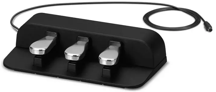 Casio Digital Piano. Էլեկտրոնային դաշնամուրի ակնարկ, կանգառ, ականջակալներ եւ այլ սարքավորումներ: Ինչպես միացնել համակարգչին: 26285_25