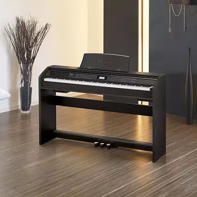 Casio Dhijitari Piano: Electroniki Piano Overview, mira, mahedhifoni, uye zvimwe zvishandiso. Maitiro Ekubatana nekombuta? 26285_7
