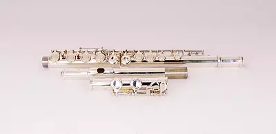 Flöte (46 Fotos): Arten von Musikinstrumenten. Wie sieht die quer, hölzerne mehrfeste, alkoholische, antike und andere Optionen aus? 26288_10