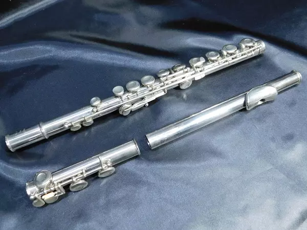 Flauto (46 foto): tipi di strumenti musicali. Com'è il trasversale, in legno multi-resistente, alcolizzato, antico e altre opzioni? 26288_11