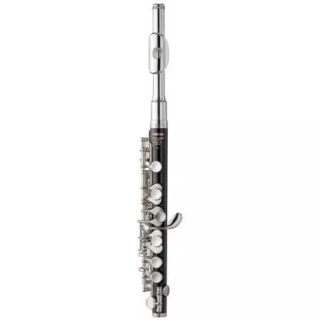 Fluit (46 foto's): soorten muziekinstrument. Wat ziet de transversale, houten multi-resistente, alcoholische, antieke en andere opties eruit? 26288_12