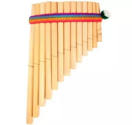 Flauto (46 foto): tipi di strumenti musicali. Com'è il trasversale, in legno multi-resistente, alcolizzato, antico e altre opzioni? 26288_14
