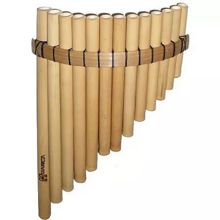 Flauta (46 fotos): Tipos de instrumento musical. ¿Qué aspecto tiene las opciones transversales, de madera múltiple, alcohólicas, antiguas y otras opciones? 26288_15