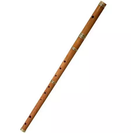 Flauta (46 fotos): Tipos de instrumento musical. ¿Qué aspecto tiene las opciones transversales, de madera múltiple, alcohólicas, antiguas y otras opciones? 26288_17