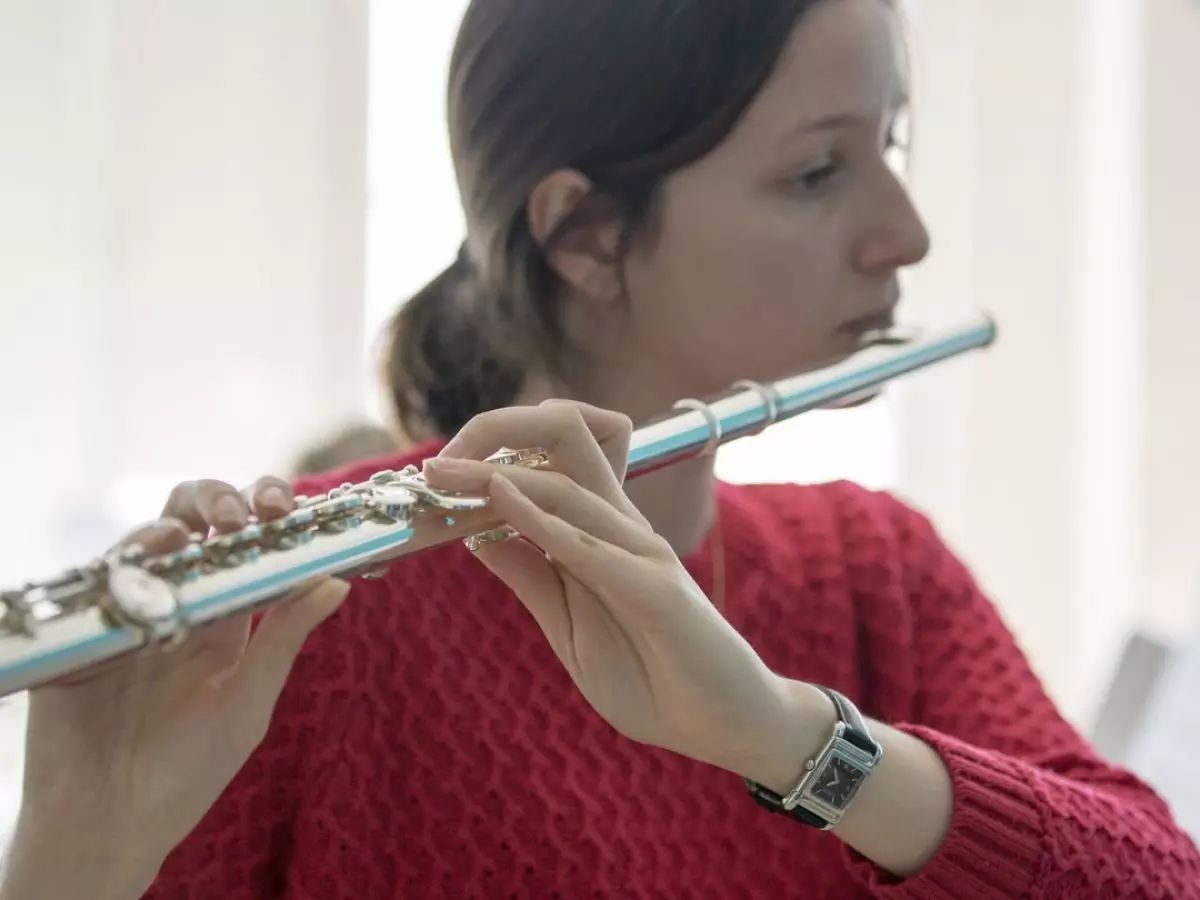 Fluit (46 foto's): soorten muziekinstrument. Wat ziet de transversale, houten multi-resistente, alcoholische, antieke en andere opties eruit? 26288_2