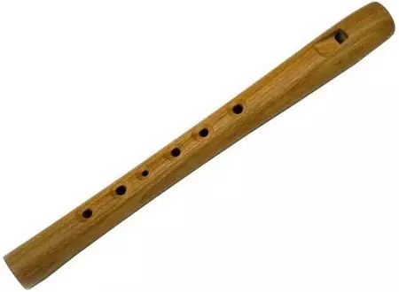 Fluit (46 foto's): soorten muziekinstrument. Wat ziet de transversale, houten multi-resistente, alcoholische, antieke en andere opties eruit? 26288_21