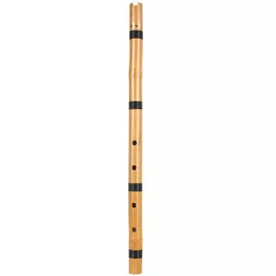 Flauto (46 foto): tipi di strumenti musicali. Com'è il trasversale, in legno multi-resistente, alcolizzato, antico e altre opzioni? 26288_24