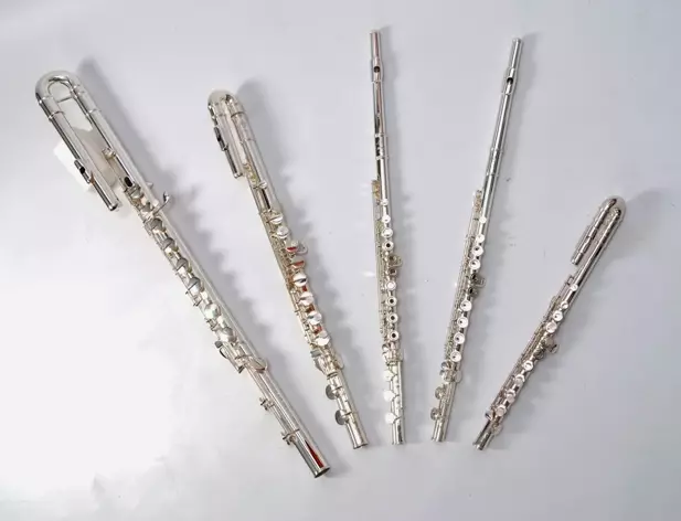 Fluit (46 foto's): soorten muziekinstrument. Wat ziet de transversale, houten multi-resistente, alcoholische, antieke en andere opties eruit? 26288_33