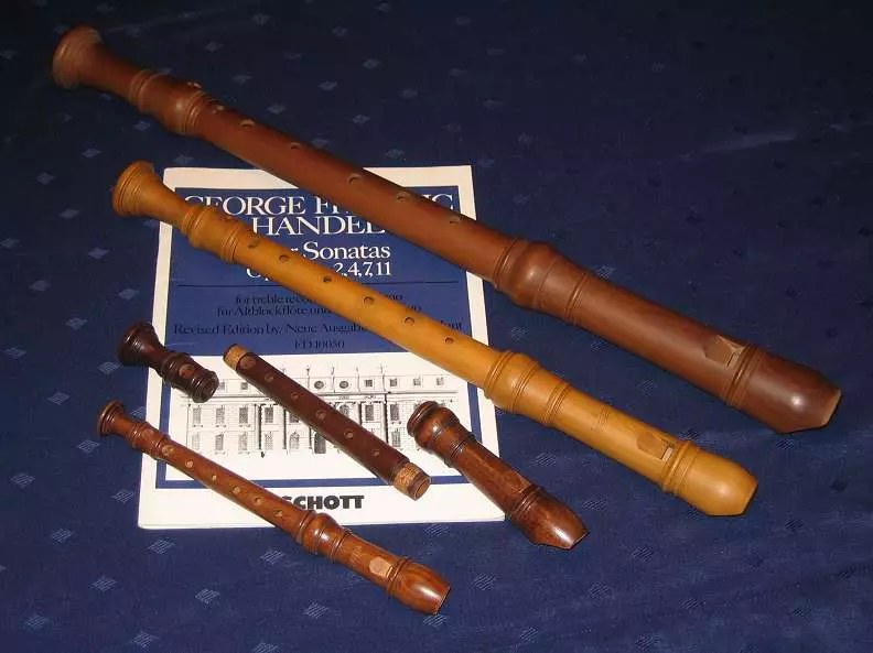 Flauta (46 fotos): Tipos de instrumento musical. ¿Qué aspecto tiene las opciones transversales, de madera múltiple, alcohólicas, antiguas y otras opciones? 26288_4