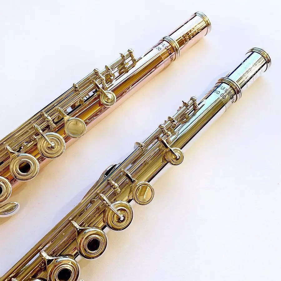 Flauto (46 foto): tipi di strumenti musicali. Com'è il trasversale, in legno multi-resistente, alcolizzato, antico e altre opzioni? 26288_42