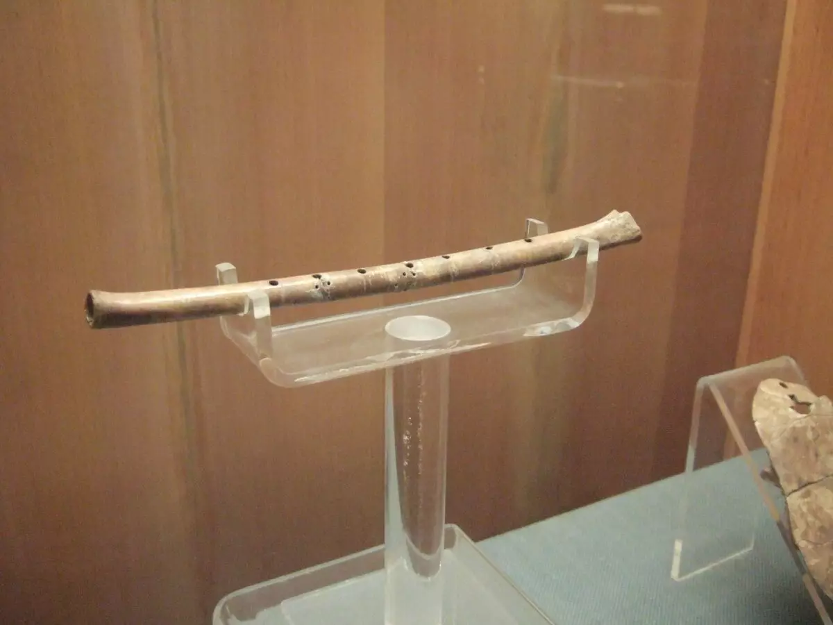 Flauta (46 fotos): Tipos de instrumento musical. ¿Qué aspecto tiene las opciones transversales, de madera múltiple, alcohólicas, antiguas y otras opciones? 26288_44