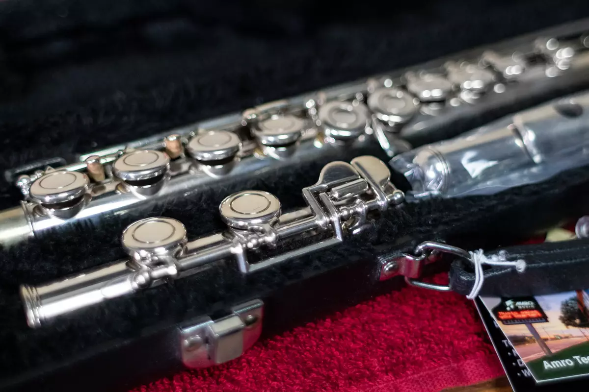 Flauta (46 fotos): Tipos de instrumento musical. ¿Qué aspecto tiene las opciones transversales, de madera múltiple, alcohólicas, antiguas y otras opciones? 26288_5