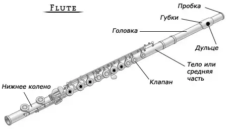 Fluit (46 foto's): soorten muziekinstrument. Wat ziet de transversale, houten multi-resistente, alcoholische, antieke en andere opties eruit? 26288_9