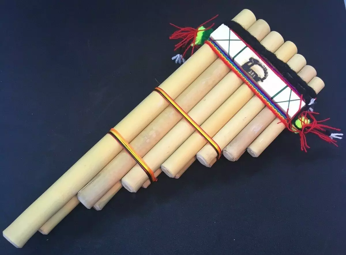 PANA (27 Foto): Game Musik Kanggo Nyawa ing Paflate nganggo tangan dhewe, fitur saka piranti musik lan struktur kasebut 26291_9