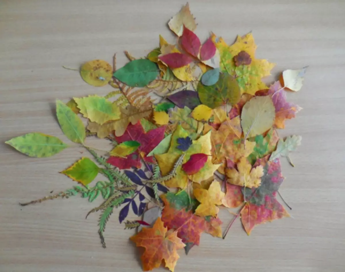 Поделки из лепестков цветов и листьев на осеннюю тему