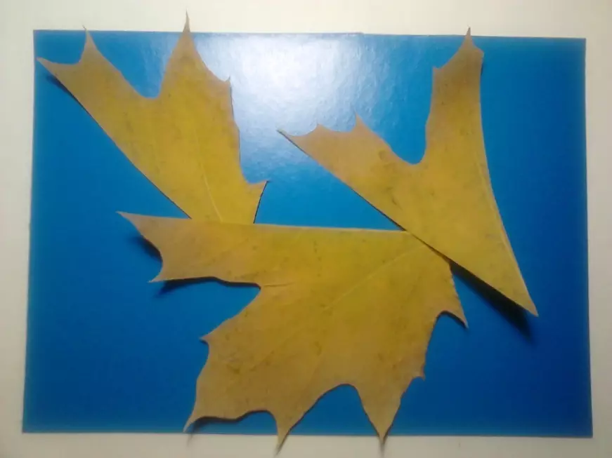 Mga Appliques gikan sa Maple Leaf: Mga hinimo sa papel alang sa mga bata sa tema nga 