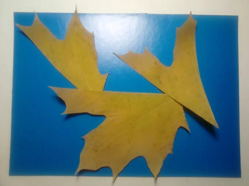 Appliques mula sa dahon ng maple: crafts sa papel para sa mga bata sa tema 