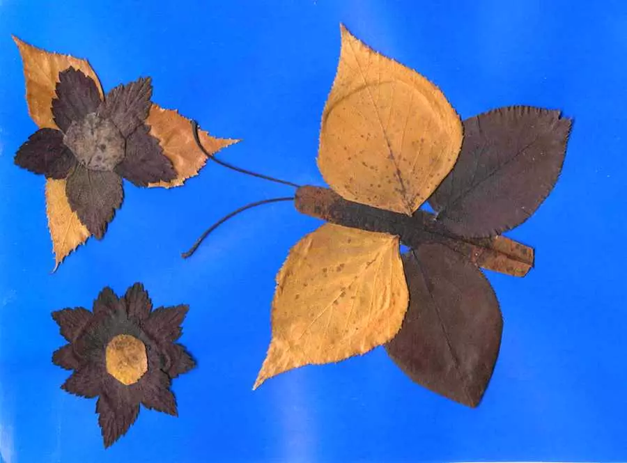 Appliques Butterfly (37 foto): nga gjethet e thata dhe letër me ngjyrë për fëmijët, nga materialet natyrore, volumetrike dhe shpërthim Appliqué 26383_30