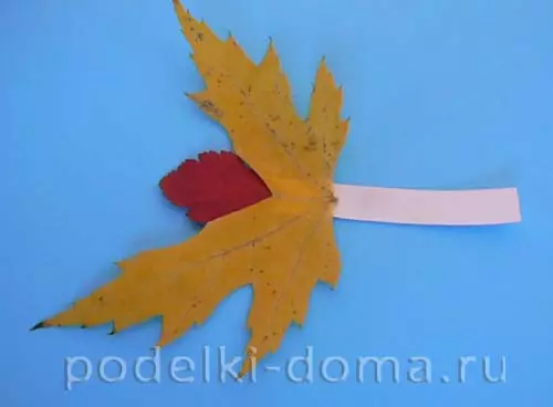 Bướm Appliques (37 ảnh): Từ lá khô và giấy màu cho trẻ em, từ vật liệu tự nhiên, thể tích và sự cố appliqué 26383_32