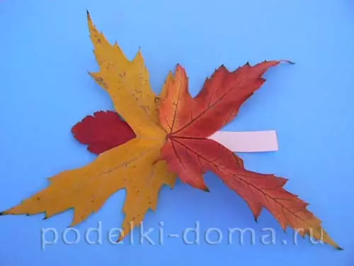 Fjärilapplikationer (37 bilder): från torra löv och färgat papper för barn, från naturmaterial, volymetriska och nedbrytningsapplikationer 26383_33
