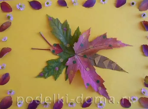 اپلیکیشن های پروانه ای (37 عکس): از برگ های خشک و کاغذ رنگی برای کودکان، از مواد طبیعی، حجم حجمی و شکستگی 26383_35