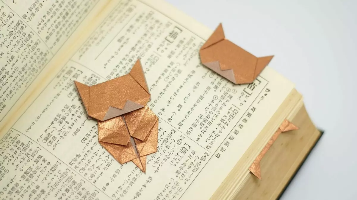 Origami Zaznamki: Kako narediti zaznamke za knjige iz papirja z lastnimi rokami? Metulji in srca, Unicorn in Cat, Chanterelle in drugi preprosti zaznamki v origami tehniki 26500_6