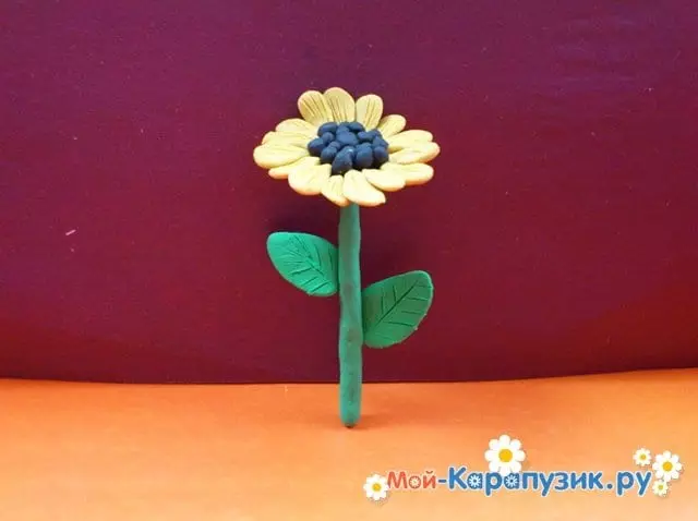 Sonneblom uit plasticine: handwerk met sade vir kinders, modellering eenvoudige sonneblom met hul eie hande 26535_10