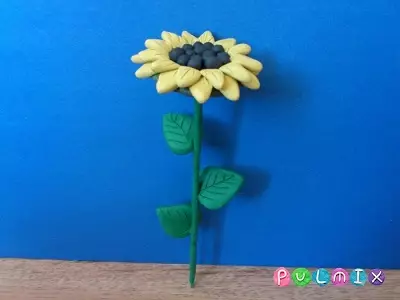 Sonnenblume aus Plastilin: Handwerk mit Samen für Kinder, Modellierung einfacher Sonnenblume mit ihren eigenen Händen 26535_3
