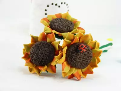 Sunflower kubva papurasticine: mhizha ine mhodzi yevana, kuenzanisira nyore sunflower nemaoko avo 26535_4