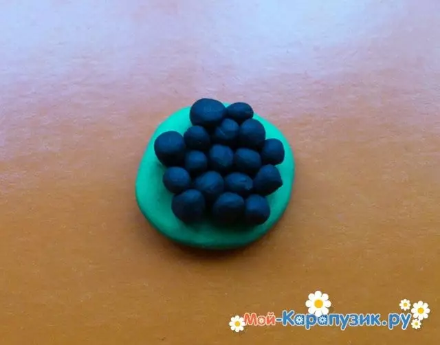 Sonneblom uit plasticine: handwerk met sade vir kinders, modellering eenvoudige sonneblom met hul eie hande 26535_8