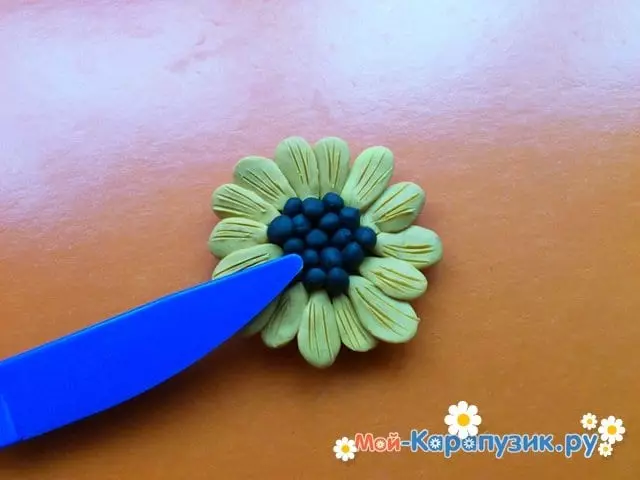 Sonnenblume aus Plastilin: Handwerk mit Samen für Kinder, Modellierung einfacher Sonnenblume mit ihren eigenen Händen 26535_9